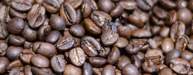 Kaffee­maschinen bei Elektro Zunhammer in Schonstett